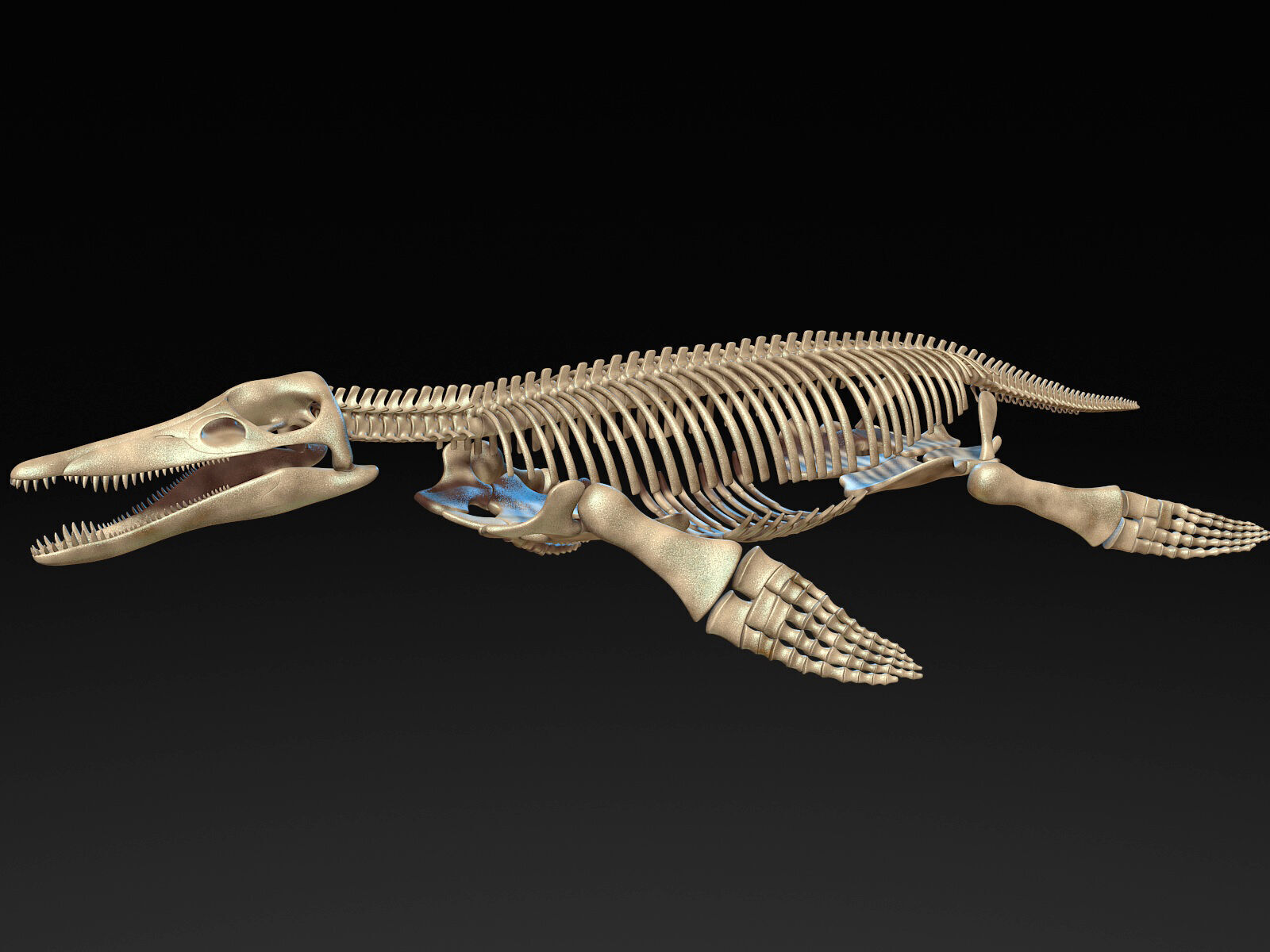 20 in1 Dino skeleton Collection model 3D model_147