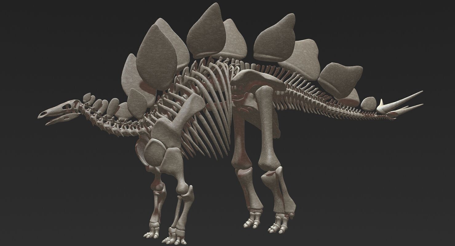 20 in1 Dino skeleton Collection model 3D model_17