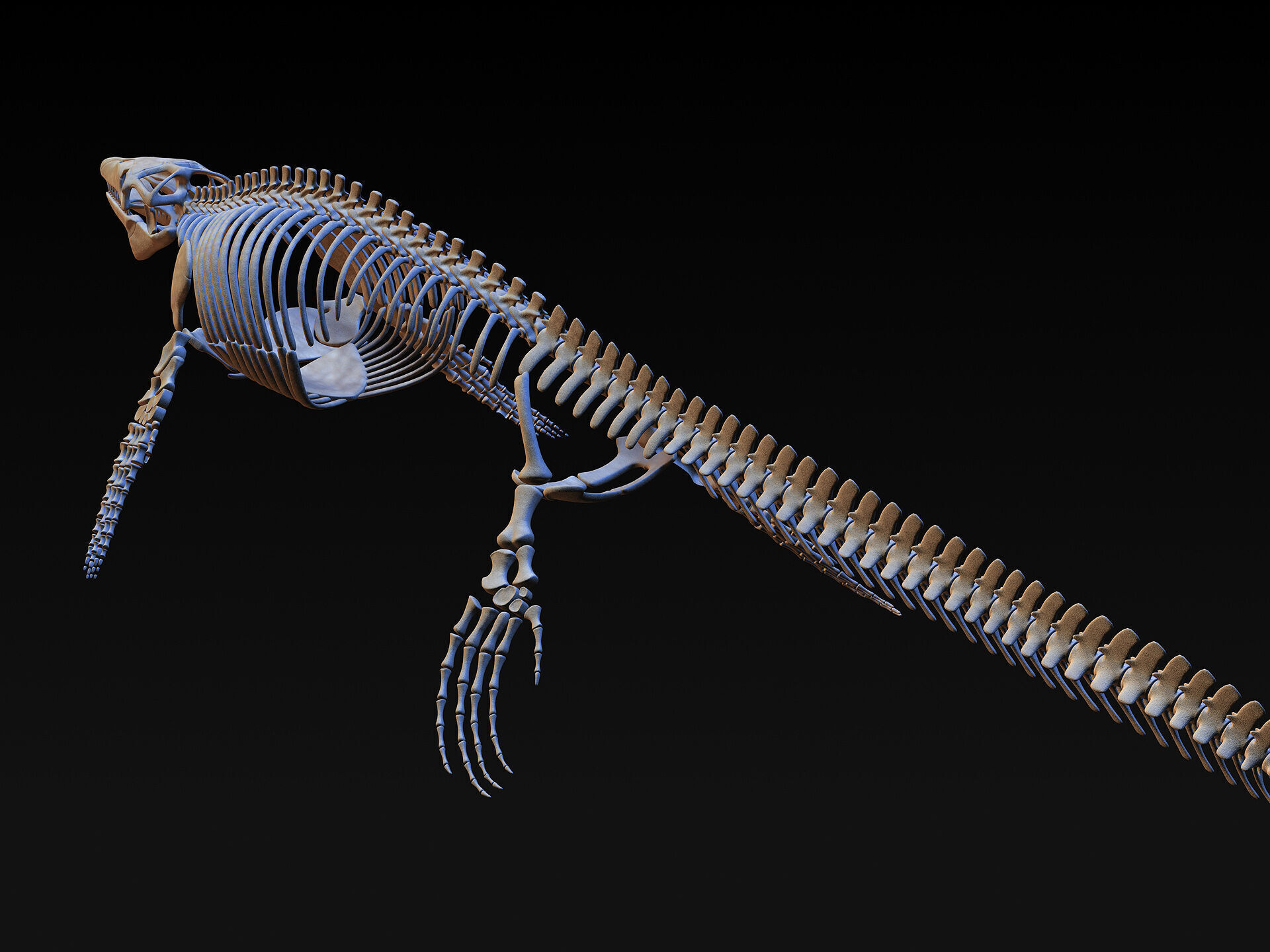 20 in1 Dino skeleton Collection model 3D model_24