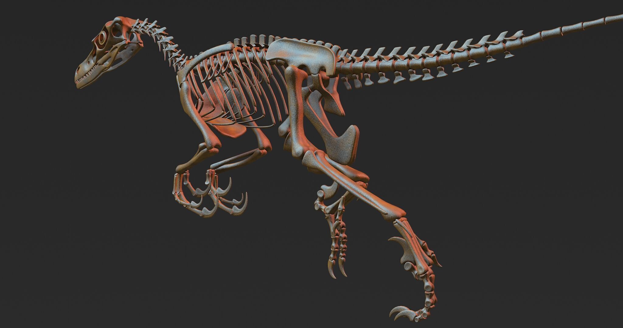 20 in1 Dino skeleton Collection model 3D model_63