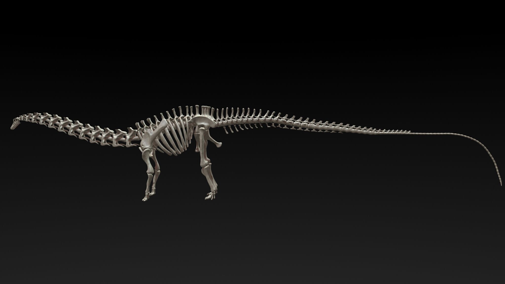 20 in1 Dino skeleton Collection model 3D model_127