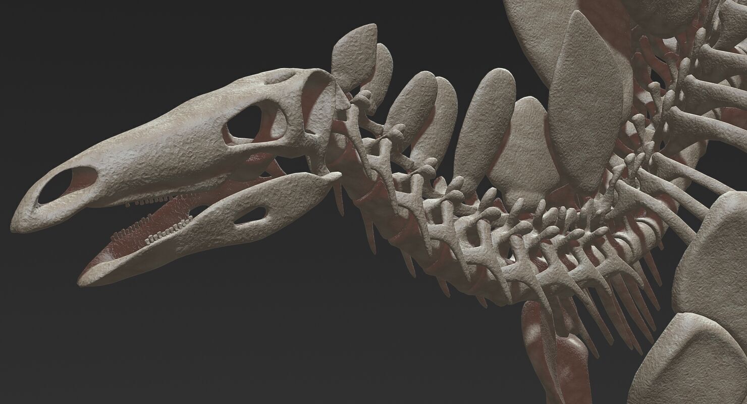 20 in1 Dino skeleton Collection model 3D model_18