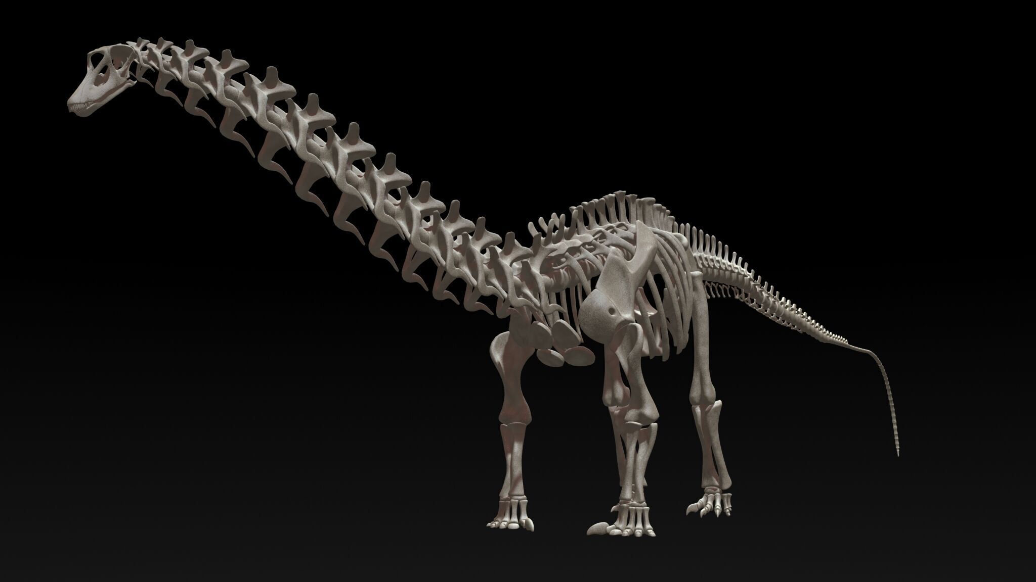 20 in1 Dino skeleton Collection model 3D model_129