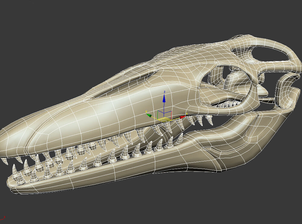 20 in1 Dino skeleton Collection model 3D model_30