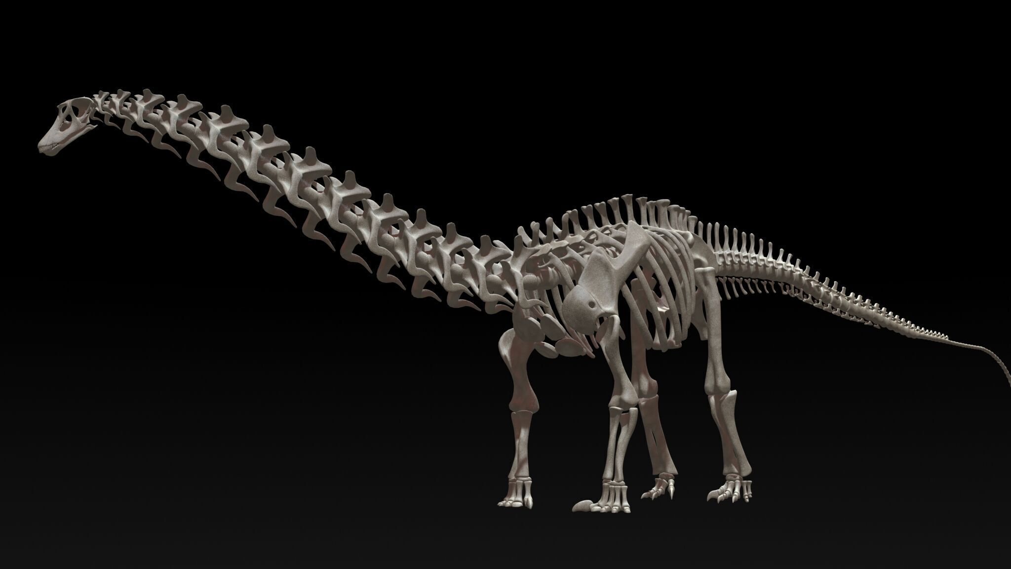 20 in1 Dino skeleton Collection model 3D model_124