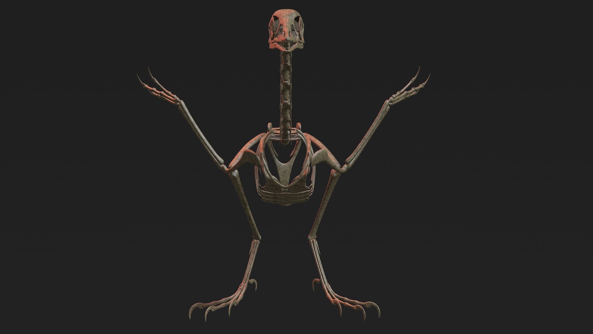 20 in1 Dino skeleton Collection model 3D model_62