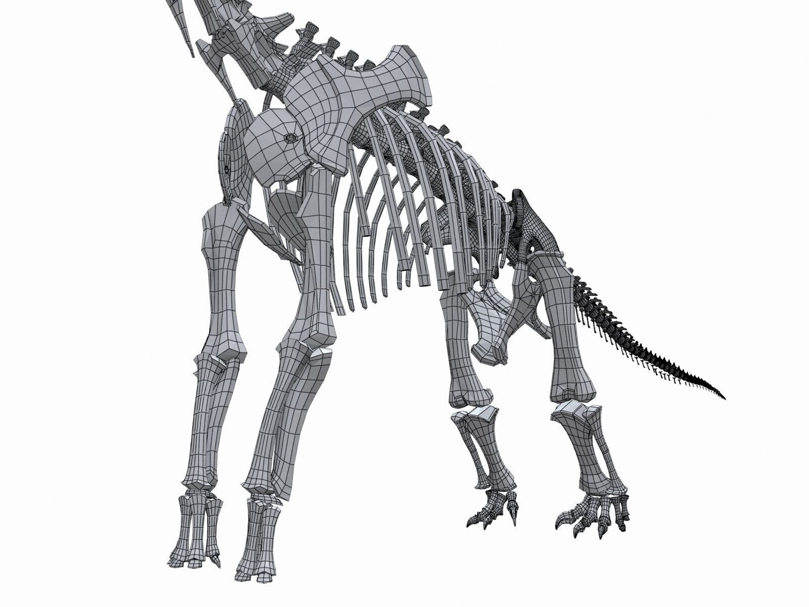 20 in1 Dino skeleton Collection model 3D model_38
