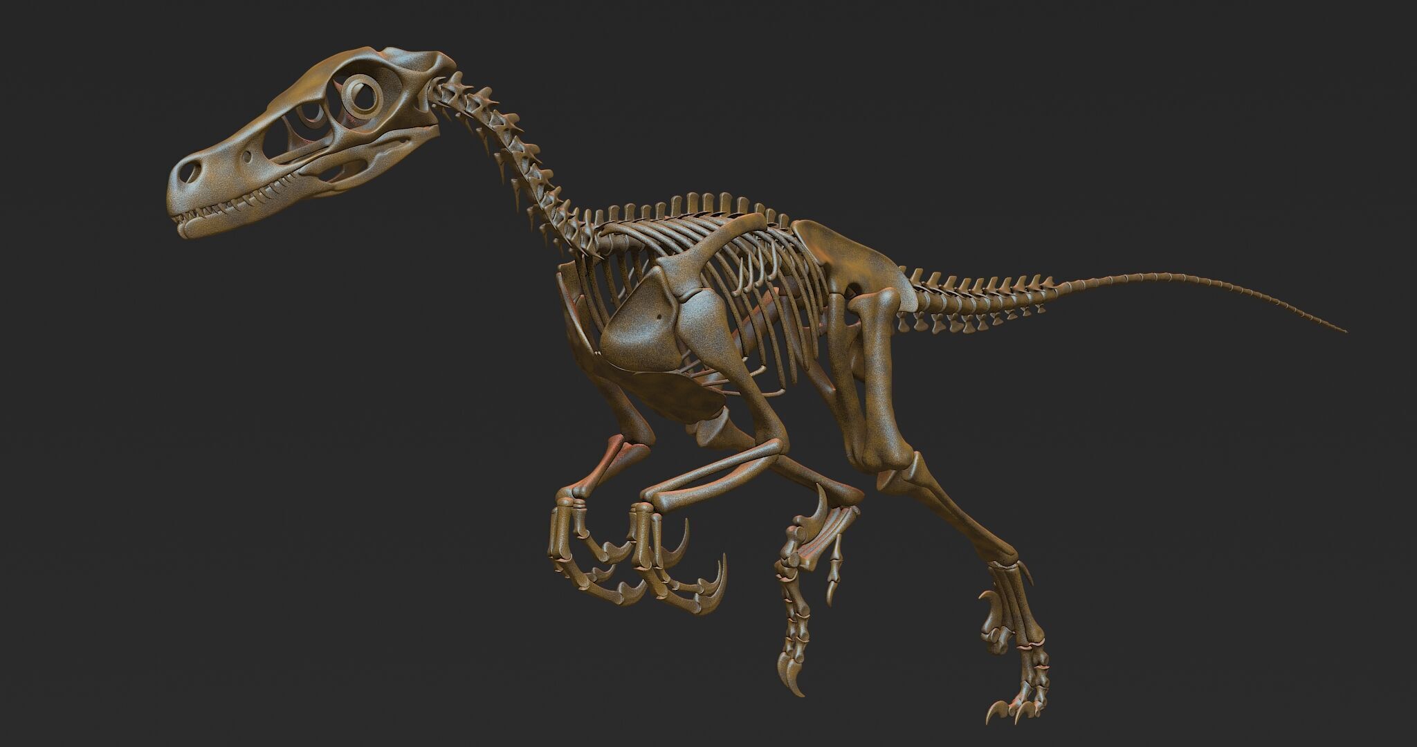 20 in1 Dino skeleton Collection model 3D model_67