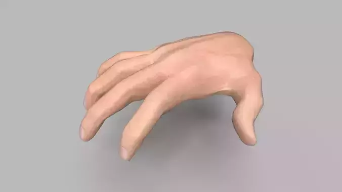 Hand CG1 3D model
