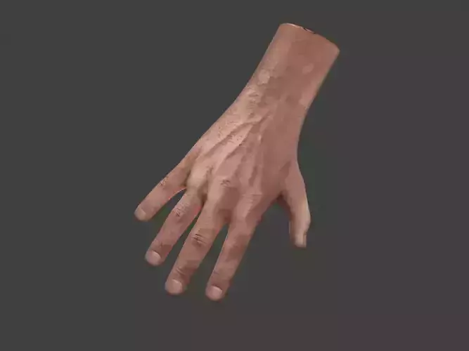Rigged Right Hand 3D model