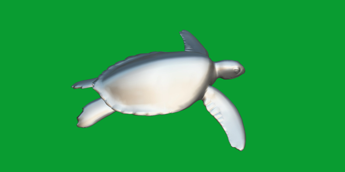 Sea Turtle Low-poly 3D model_12
