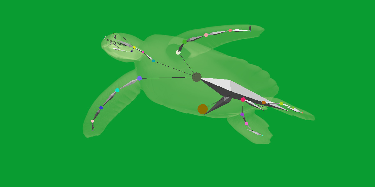 Sea Turtle Low-poly 3D model_25