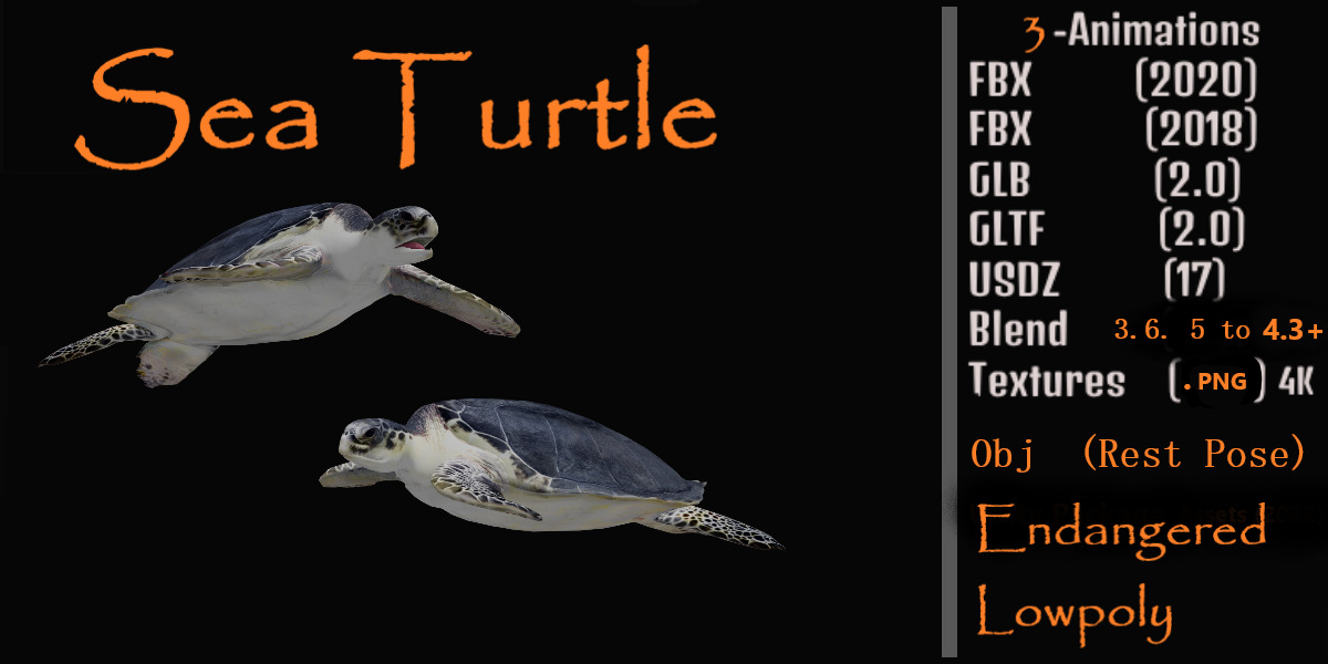 Sea Turtle Low-poly 3D model_2