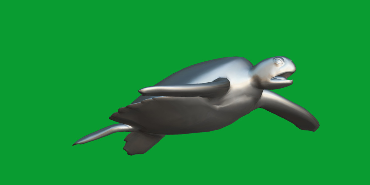 Sea Turtle Low-poly 3D model_13