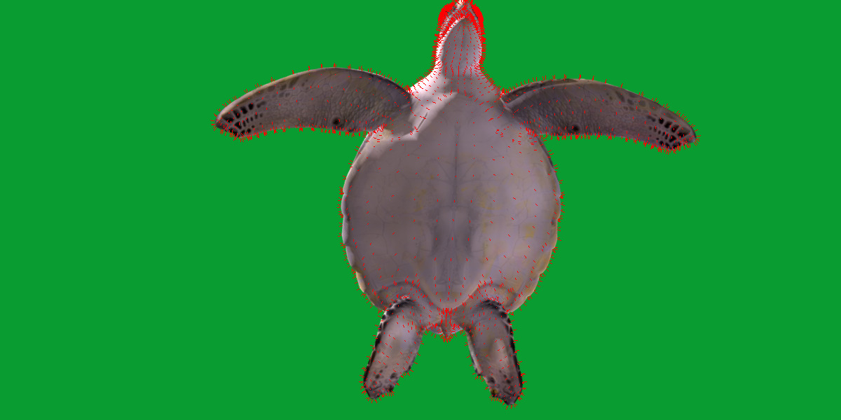 Sea Turtle Low-poly 3D model_17