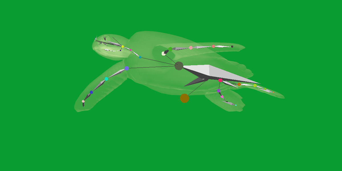 Sea Turtle Low-poly 3D model_24