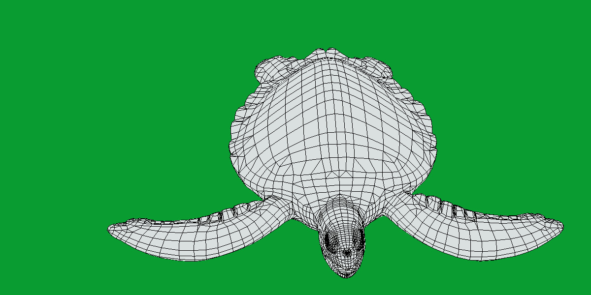 Sea Turtle Low-poly 3D model_15