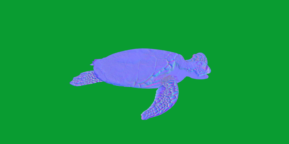 Sea Turtle Low-poly 3D model_8