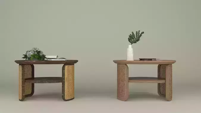 Japandi coffee table 3D model