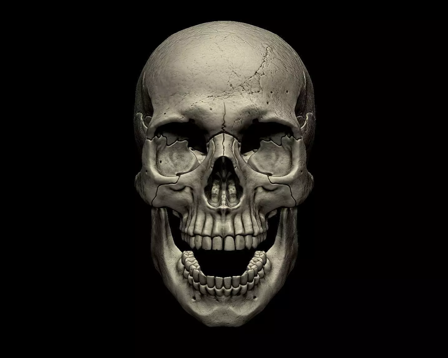 Human skull 3d print model 3D print model_0