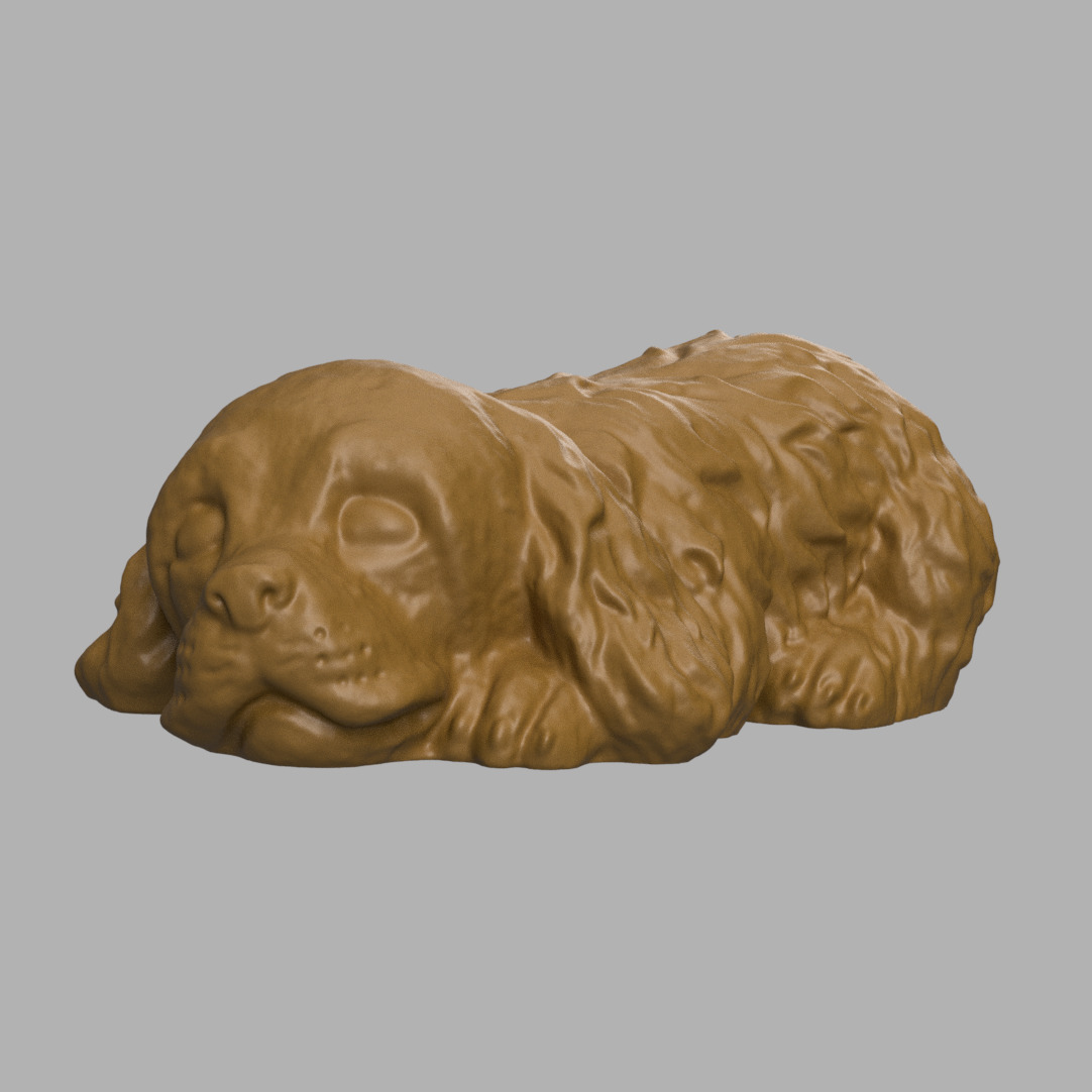 Cocker spaniel sleeping 3D print model_5