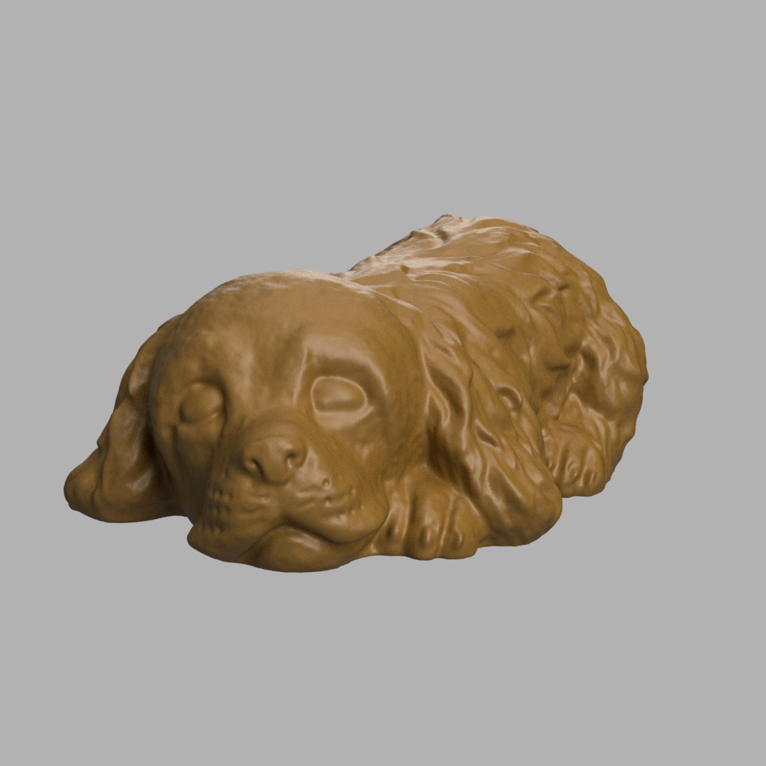 Cocker spaniel sleeping 3D print model_3