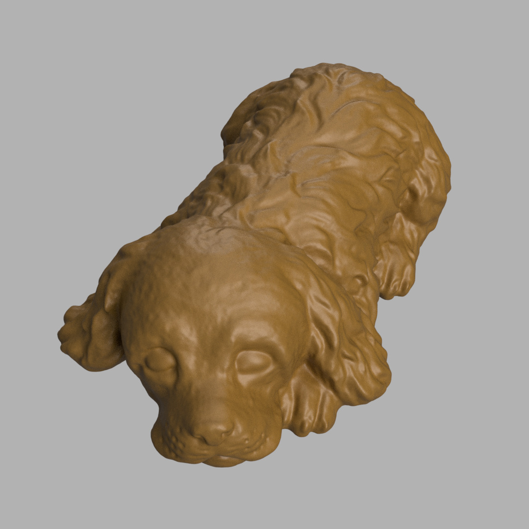 Cocker spaniel sleeping 3D print model_6