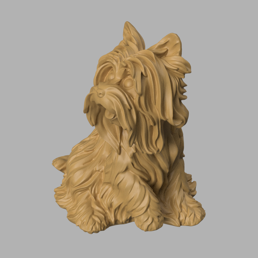 Yorkshire give paw 3D print model_4