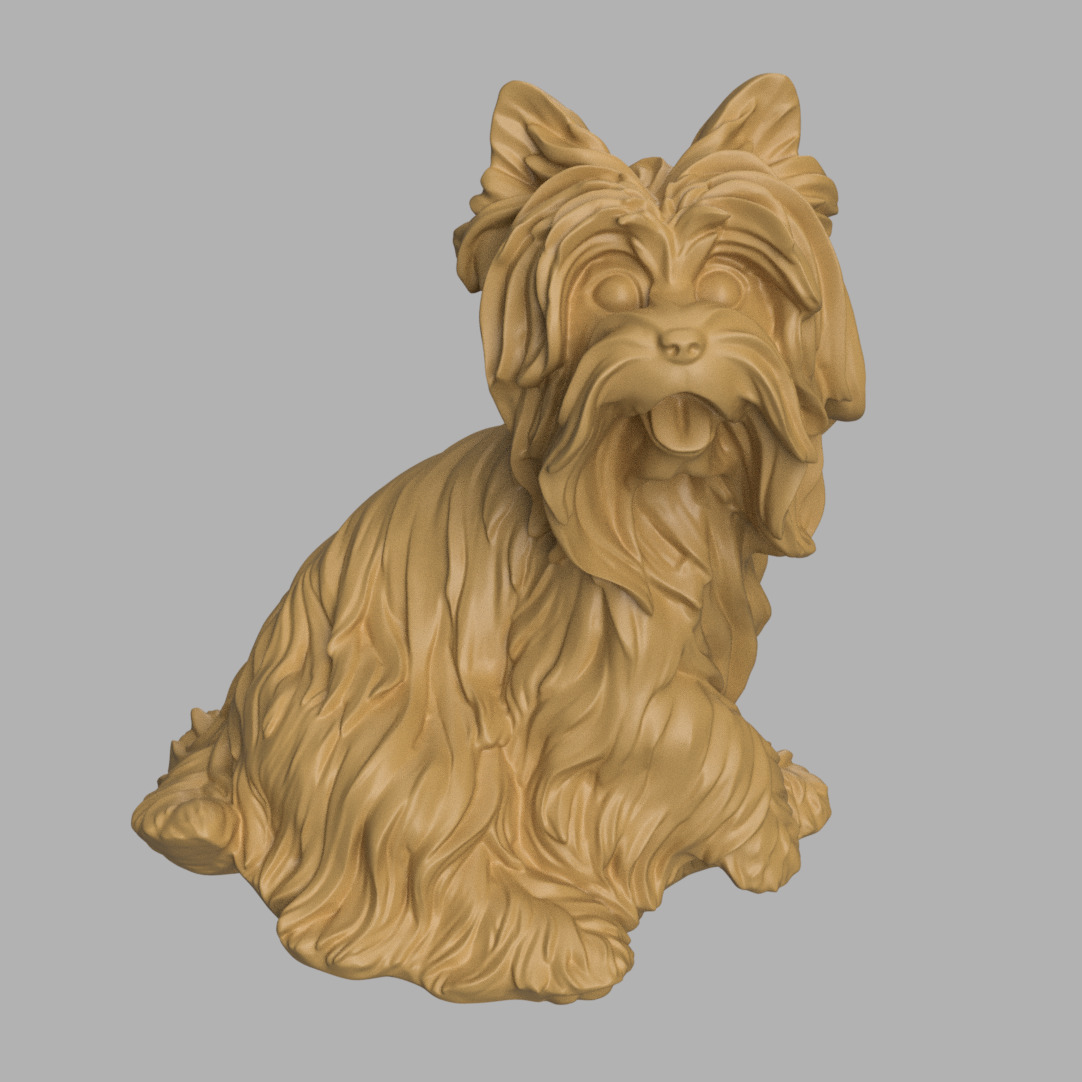 Yorkshire give paw 3D print model_3