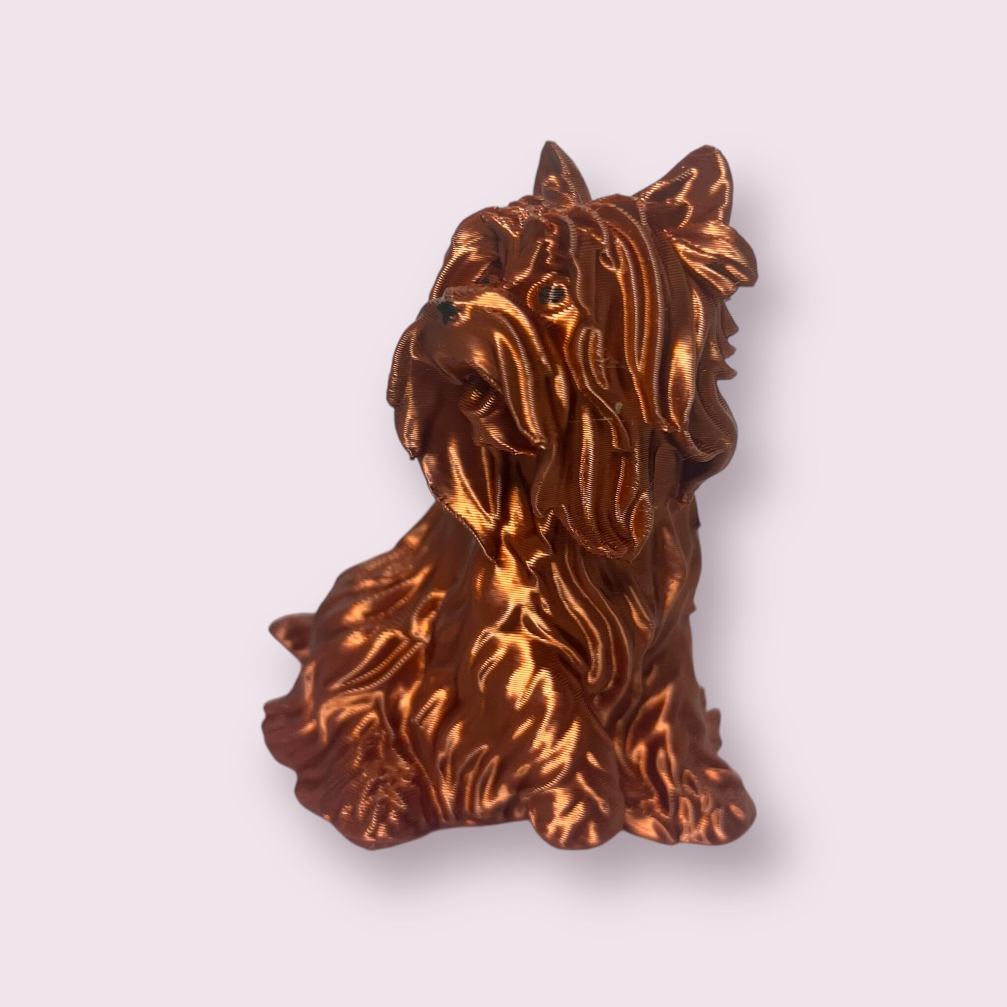 Yorkshire give paw 3D print model_2
