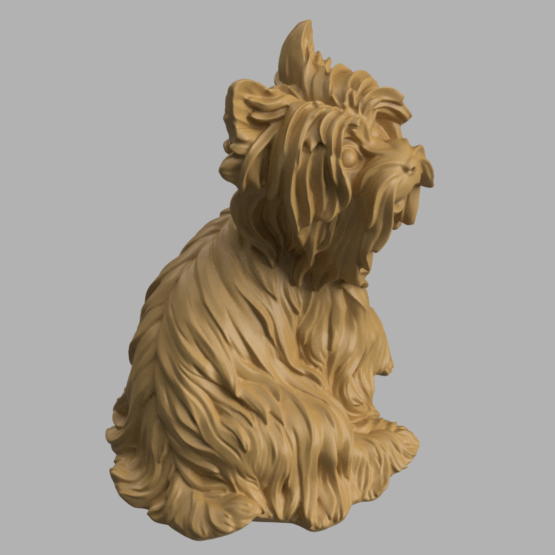 Yorkshire give paw 3D print model_6