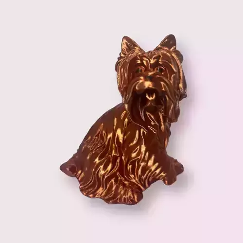 Yorkshire give paw