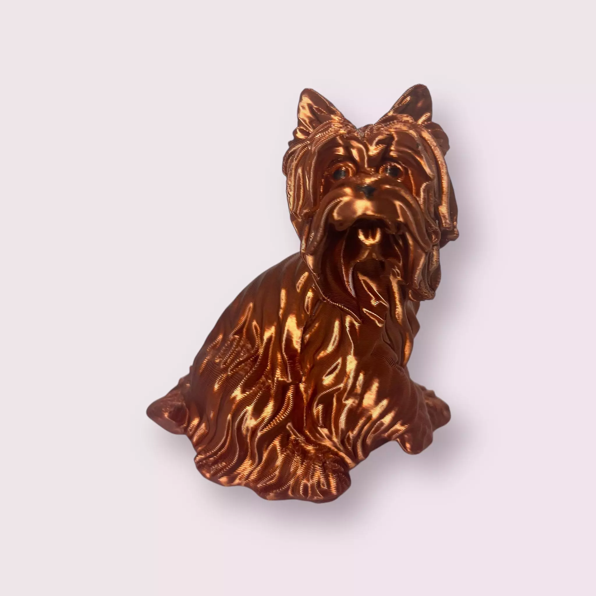 Yorkshire give paw 3D print model_0