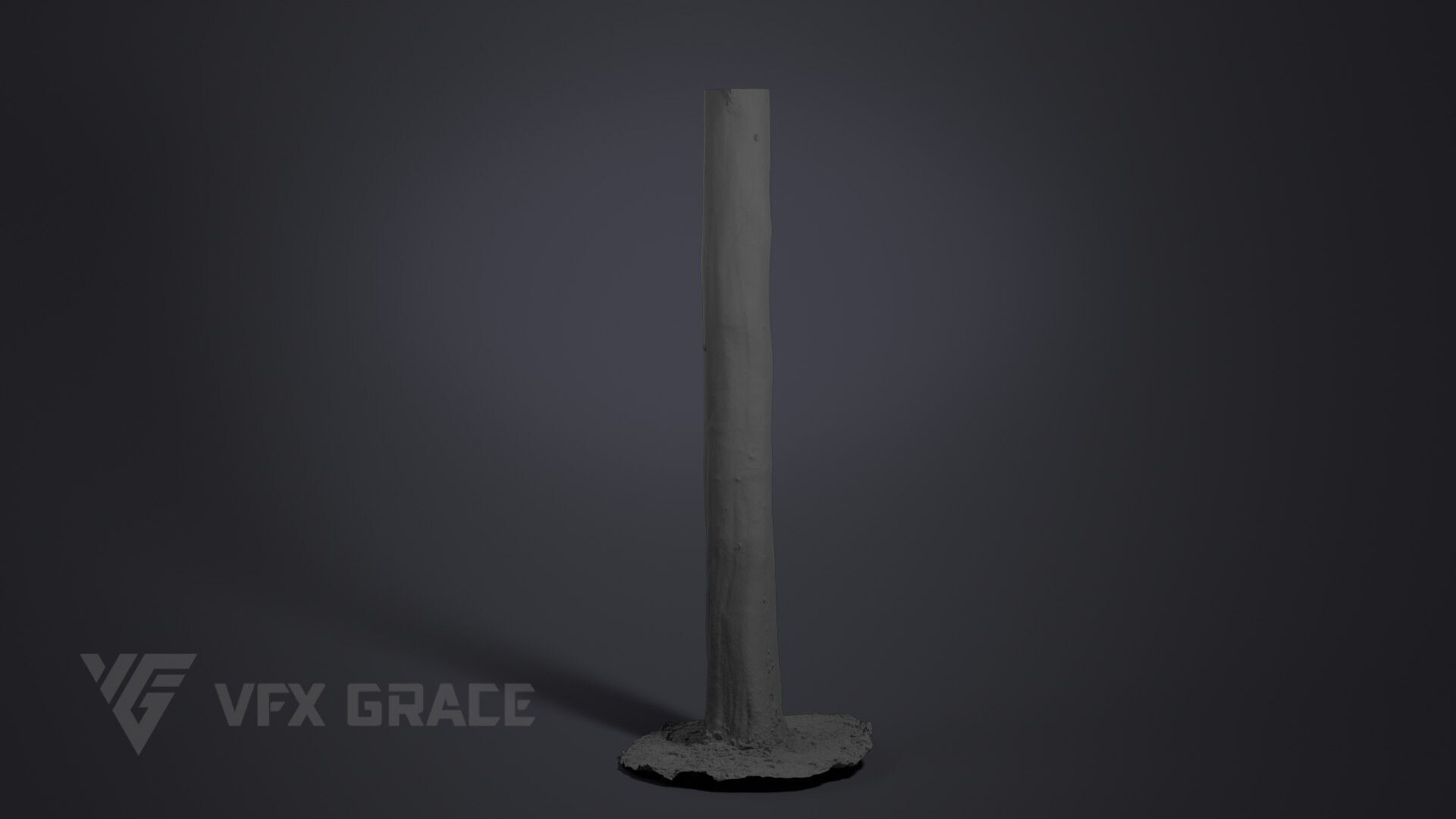 Platanus Acerifolia 3D model_6