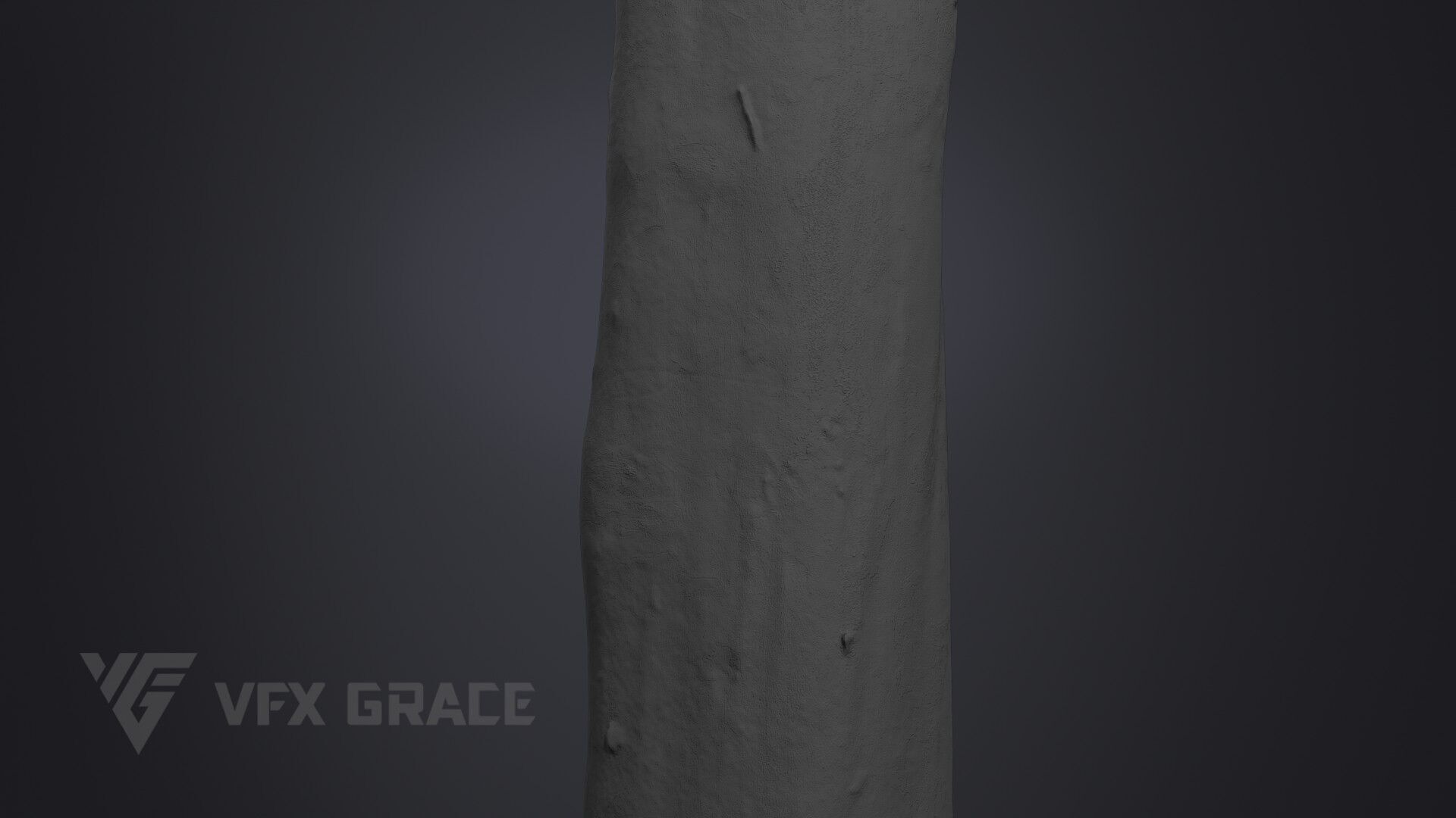 Platanus Acerifolia 3D model_8