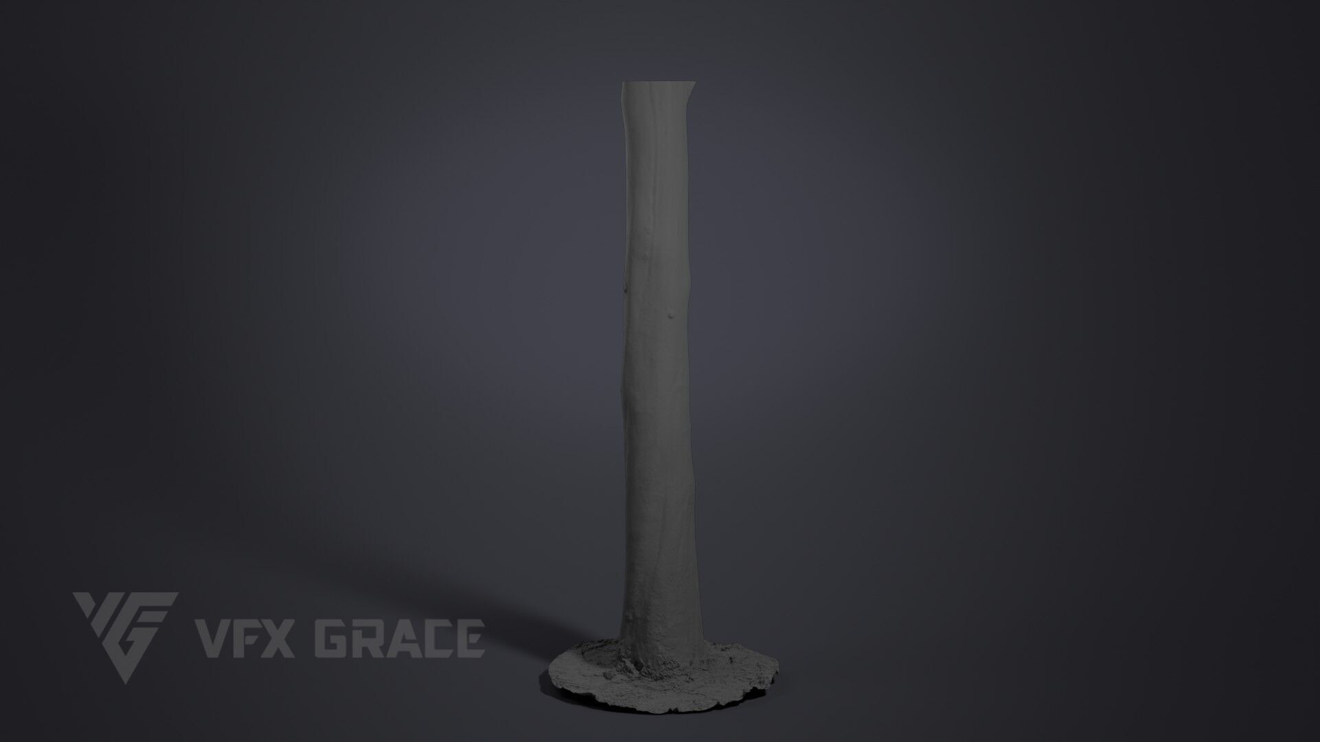 Platanus Acerifolia 3D model_7