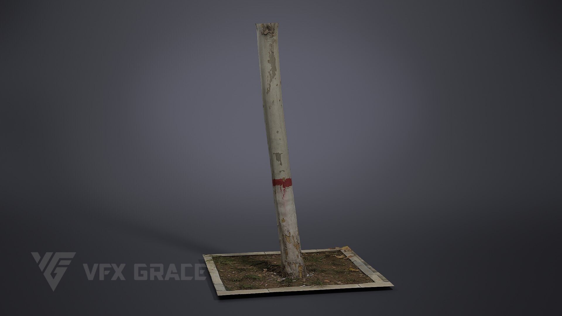 Plane Tree 006 3D model_2