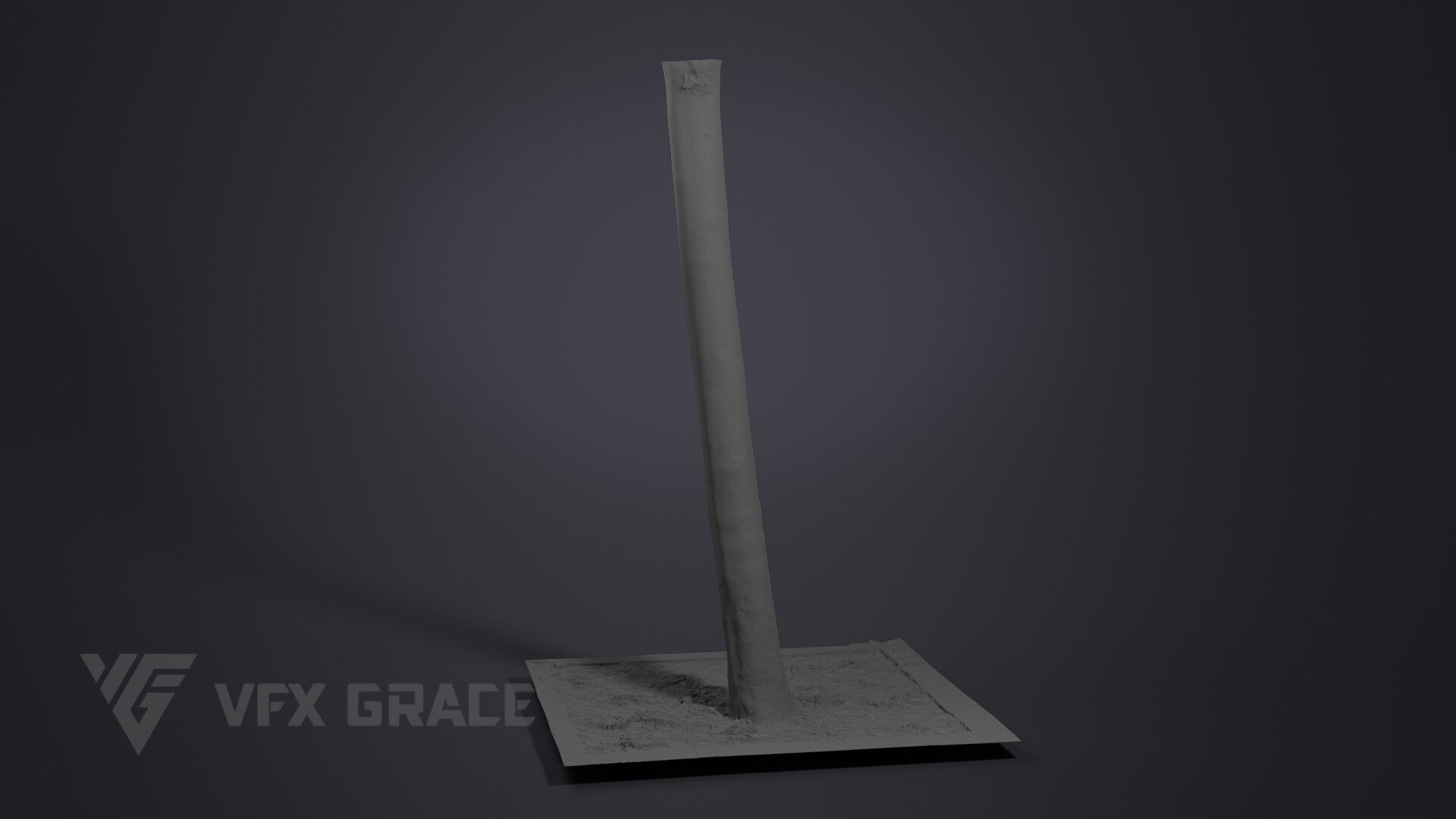 Plane Tree 006 3D model_6