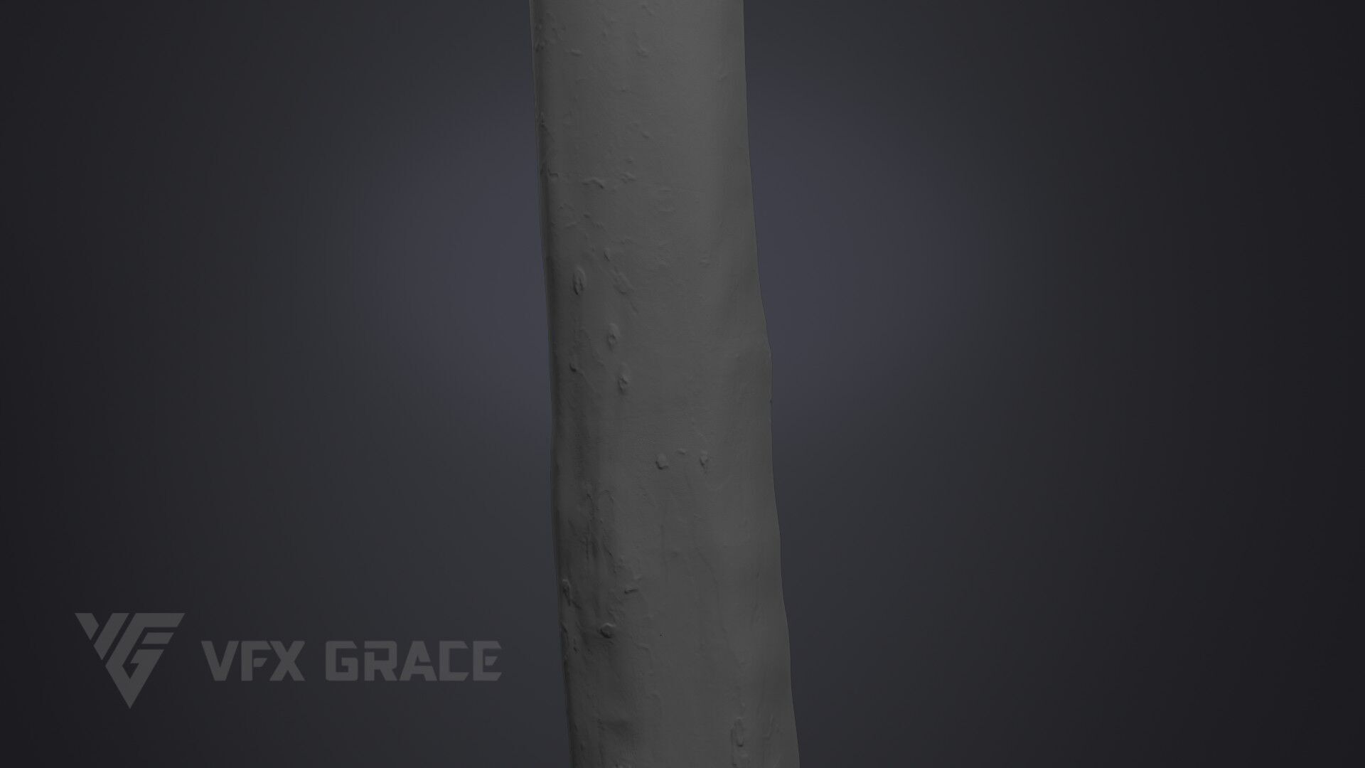 Plane Tree 006 3D model_8