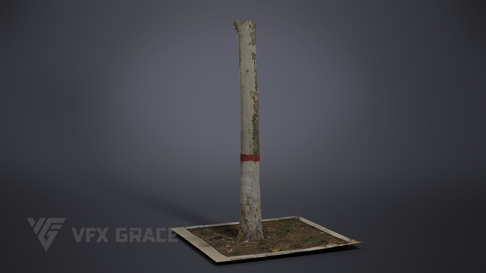 Plane Tree 006 3D model_1