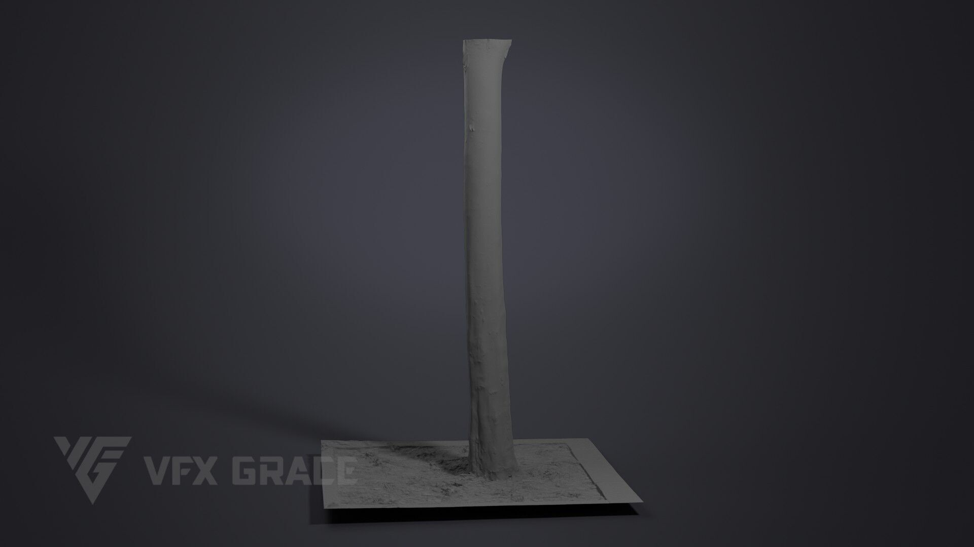 Plane Tree 006 3D model_7