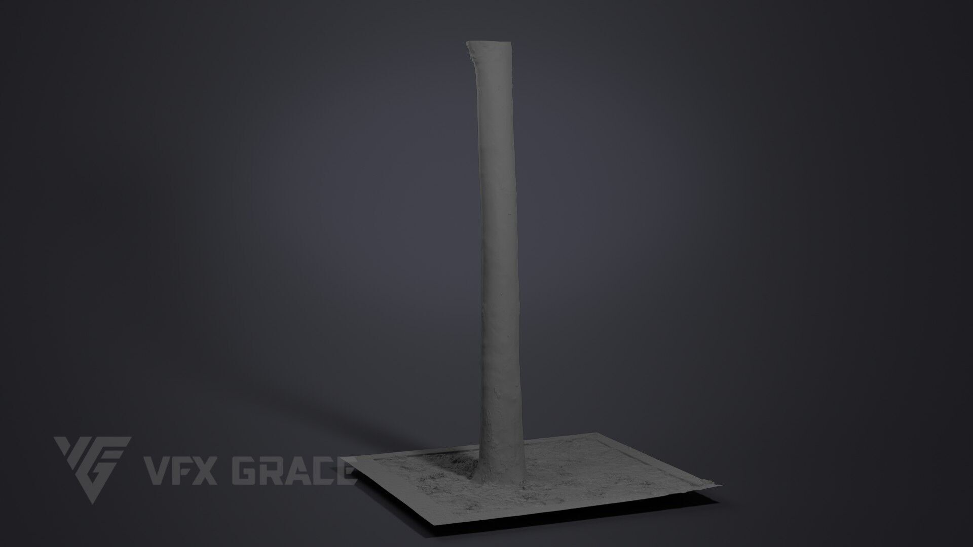 Plane Tree 006 3D model_5