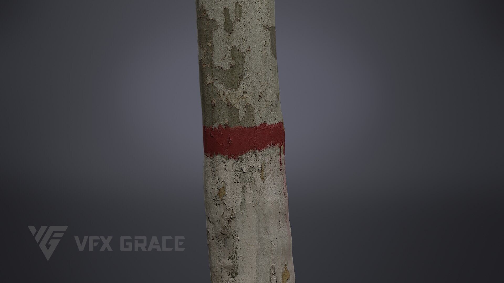 Plane Tree 006 3D model_4