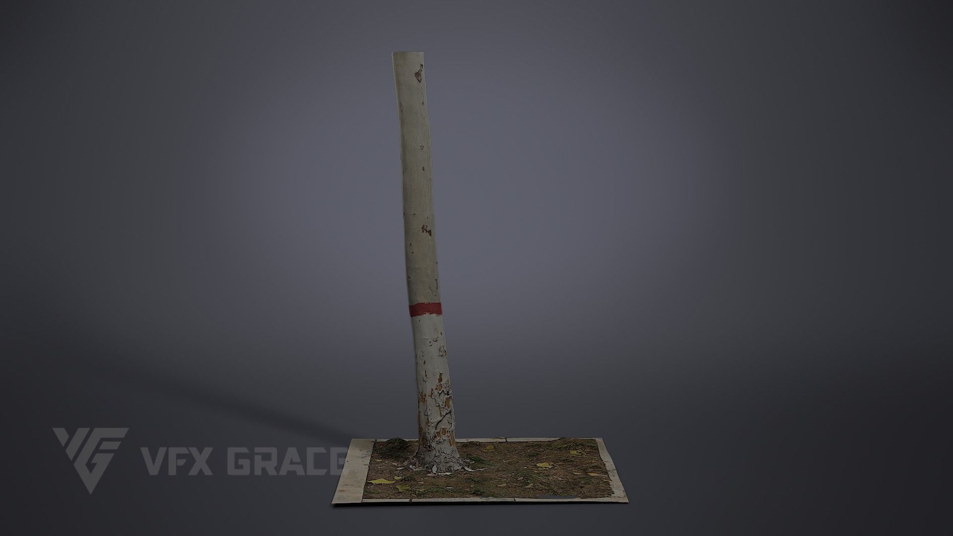 Plane Tree 005 3D model_1