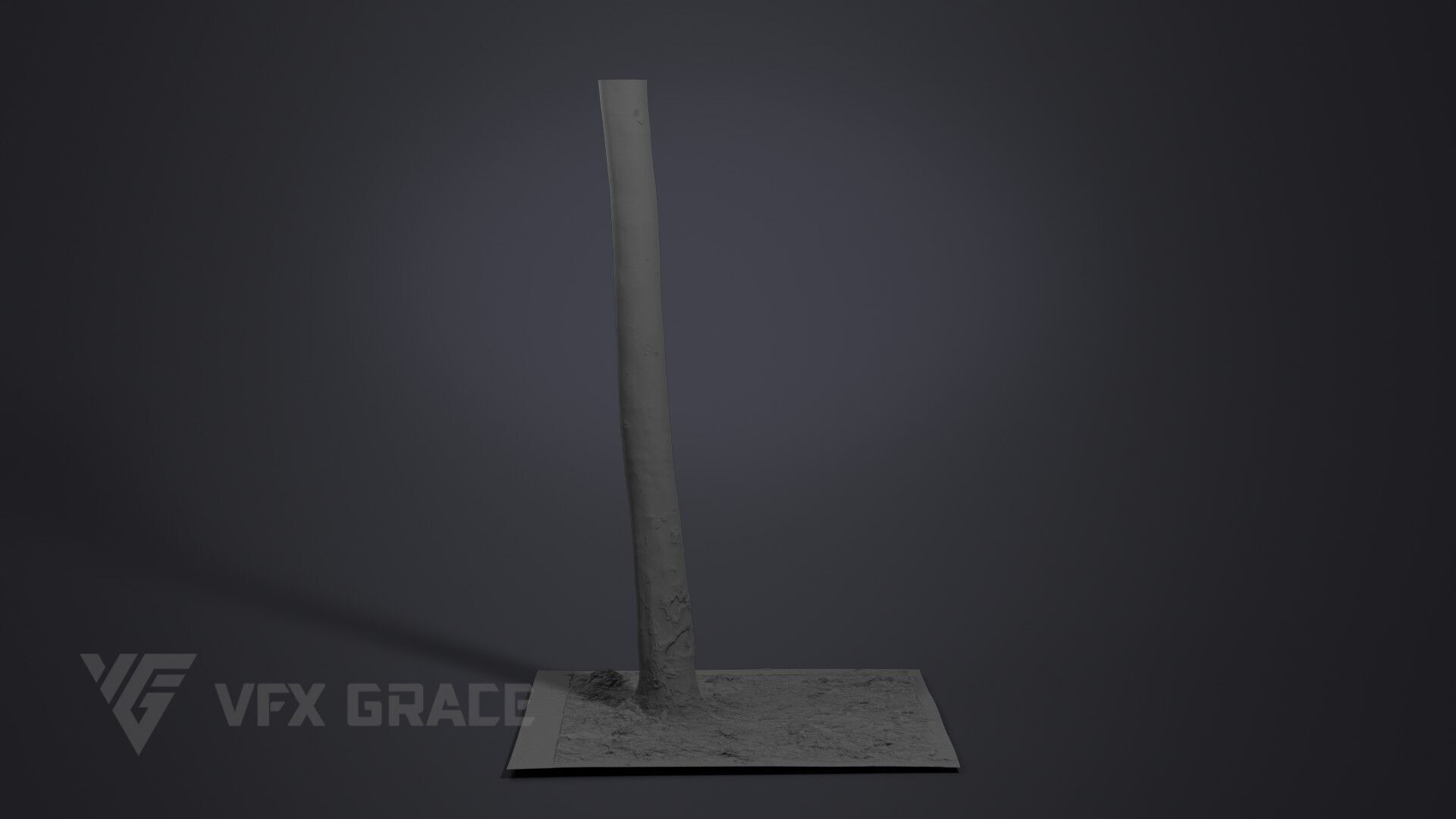 Plane Tree 005 3D model_5