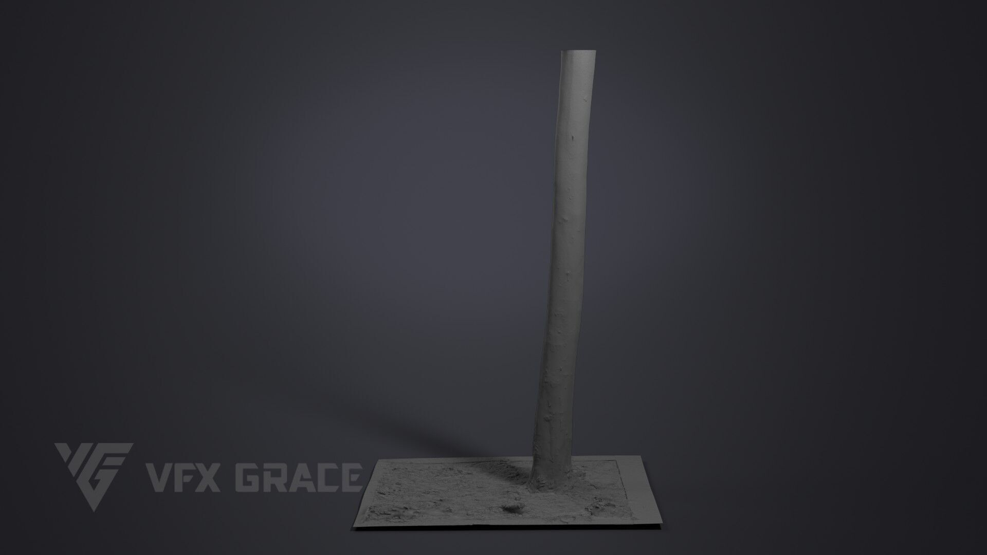 Plane Tree 005 3D model_7