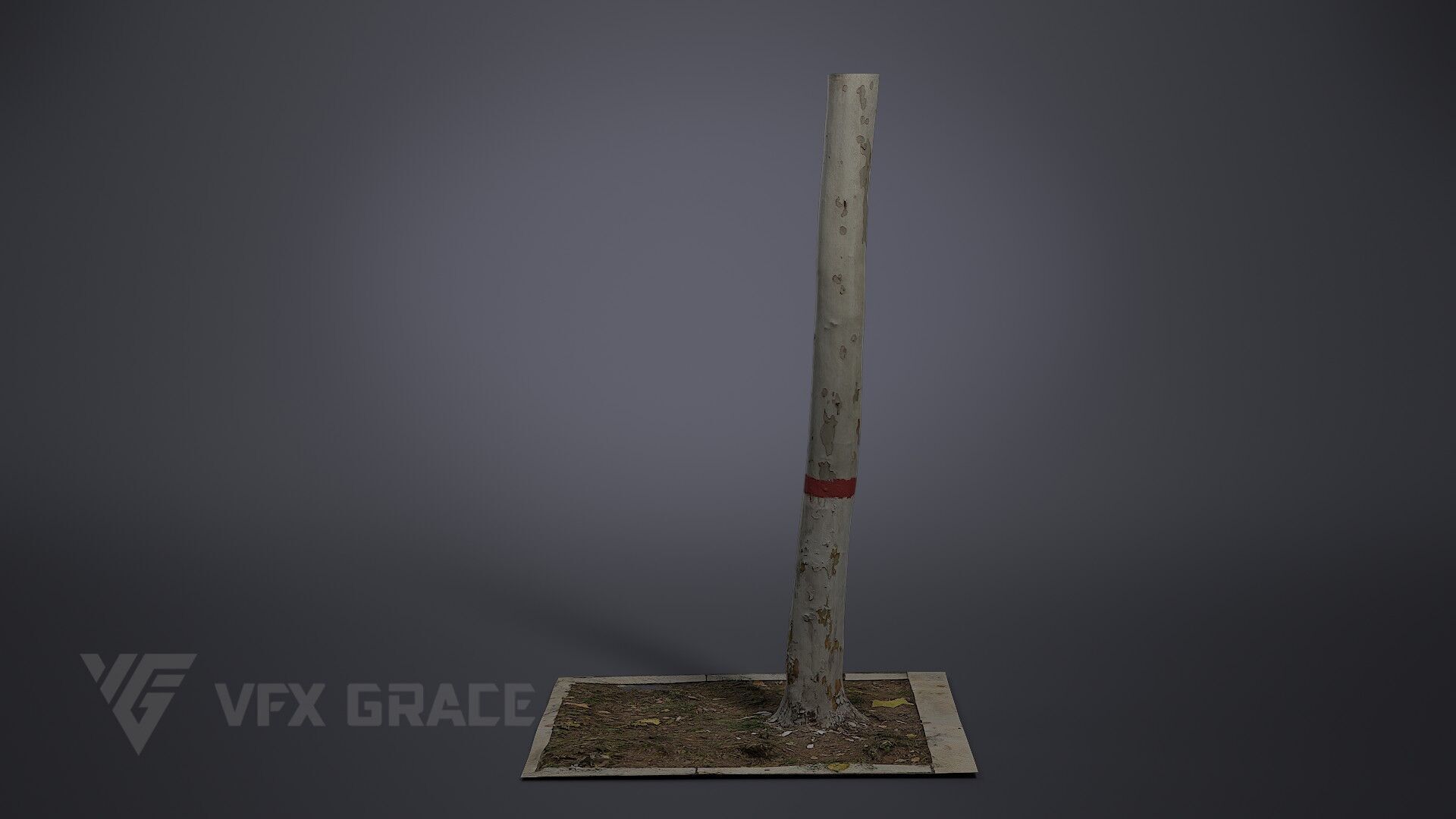 Plane Tree 005 3D model_3