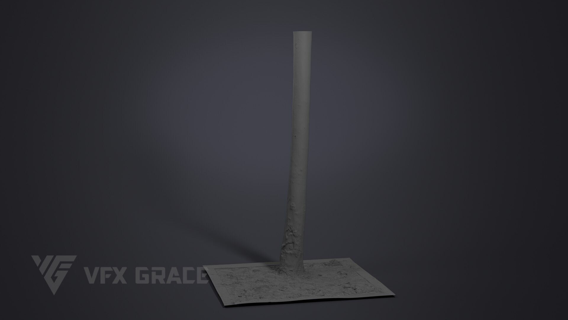 Plane Tree 005 3D model_6