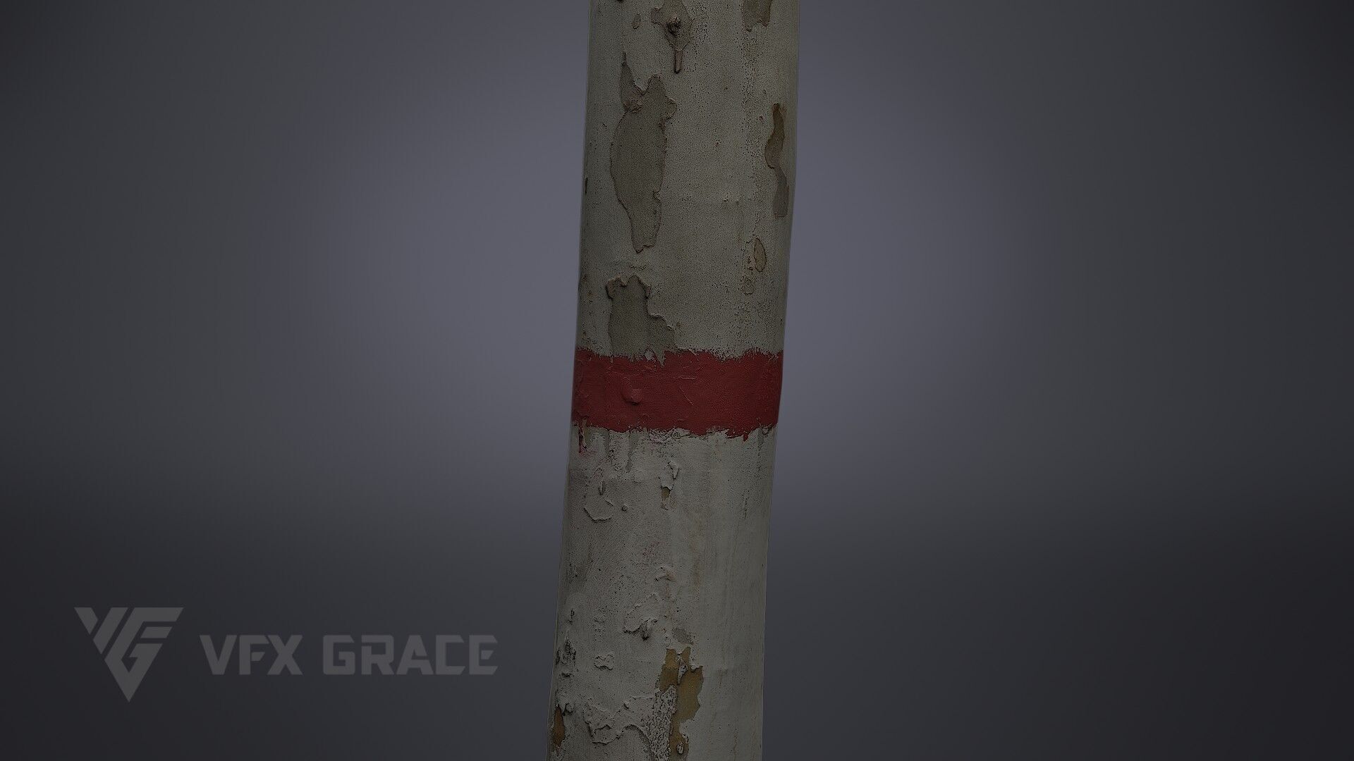 Plane Tree 005 3D model_4