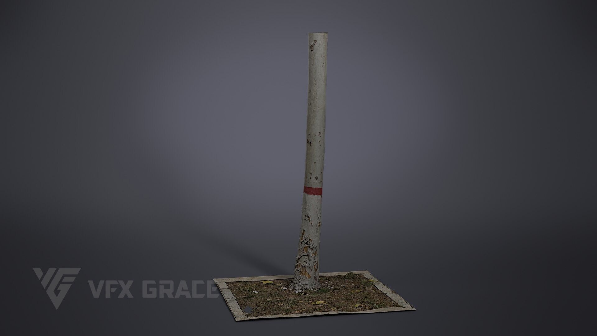 Plane Tree 005 3D model_2